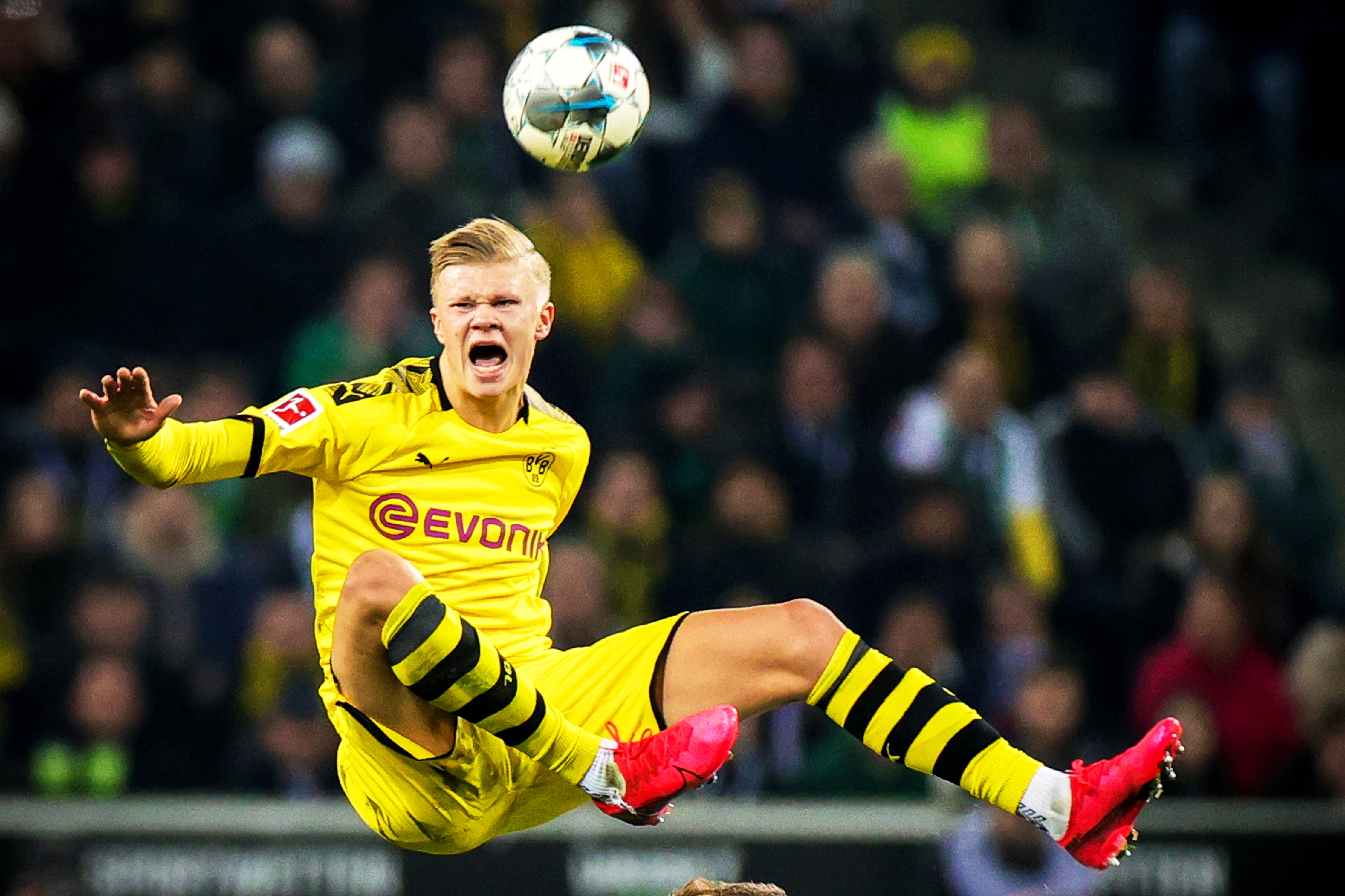 东契奇致里夫斯：很抱歉我成了你的队友；恭喜你成为我头号粉丝（东契奇对里夫斯说：抱歉与你同队，恭喜你荣膺我的头号粉丝）